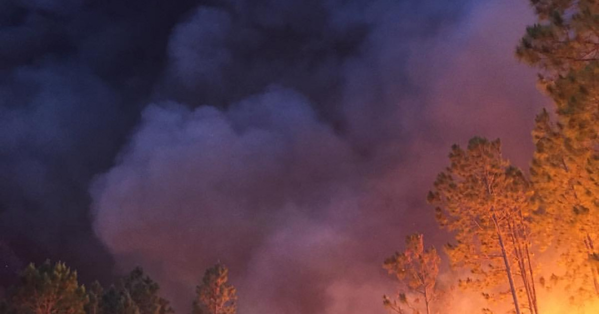 حرائق غابات جورجيا تهدد السكان وتدمر المنازل