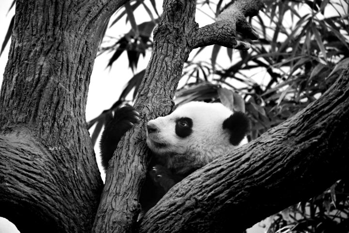 صور عمودية تكشف جمال العالم من خلال وكالة AP