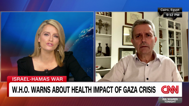 انتشار القوارض والحشرات في غزة: أزمة صحية متفاقمة