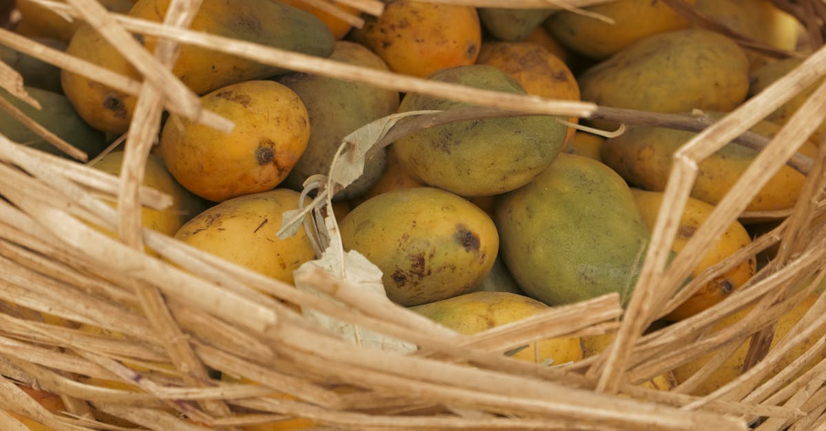 Optimale Temperatur zur Erhaltung der Frische von Mangos