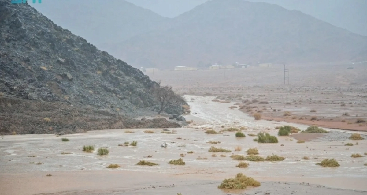El Niño Forecast and Its Impact on Saudi Arabia