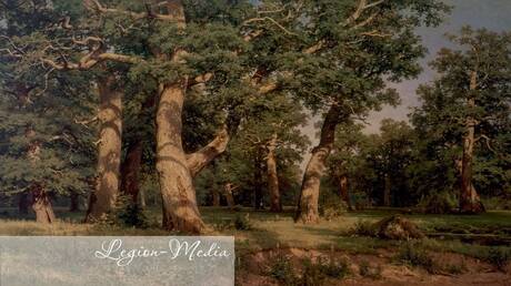 معرض إيفان شيشكين في بطرسبورغ - الفن الروسي