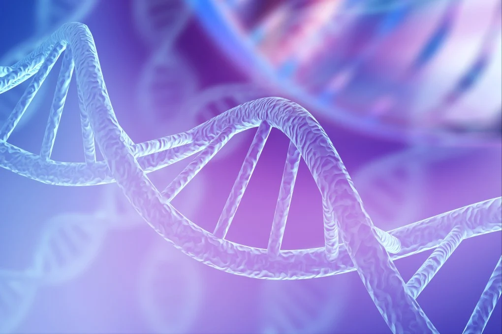 دراسة جينية تكشف هجرة بشرية إلى أمريكا الجنوبية