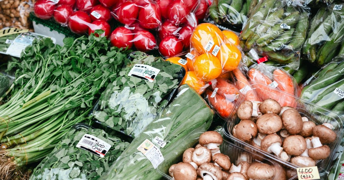 Czech Republic Inflation and Fuel Price Impact