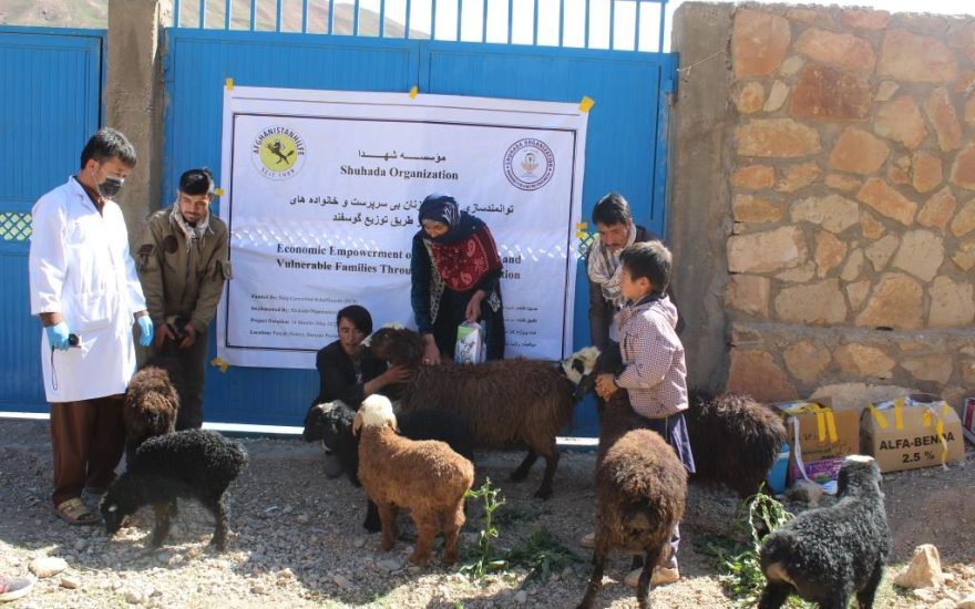 Distributing Sheep to Eligible Families in Assiut