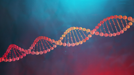 Gènes liés à l'autisme : étude révèle des avancées