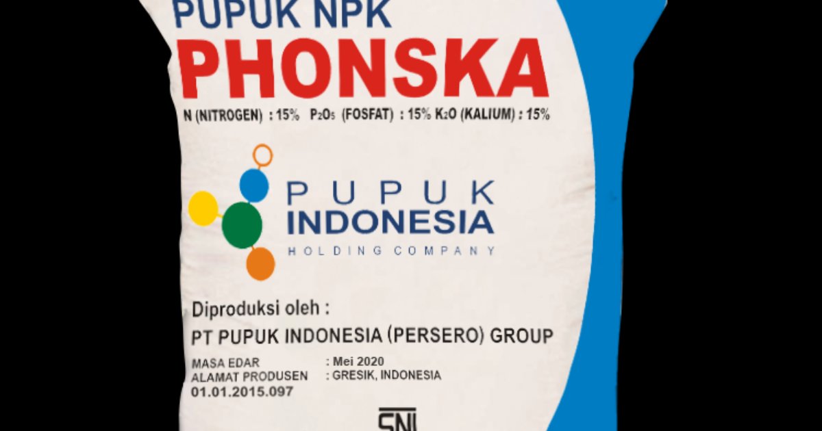 Griesik Fonska gewinnt Basketballmeisterschaftsspiel