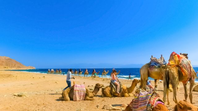 Prévisions météorologiques en Égypte aujourd'hui