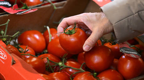 تركيا تسد العجز الغذائي بعد توقف الصادرات الإيرانية