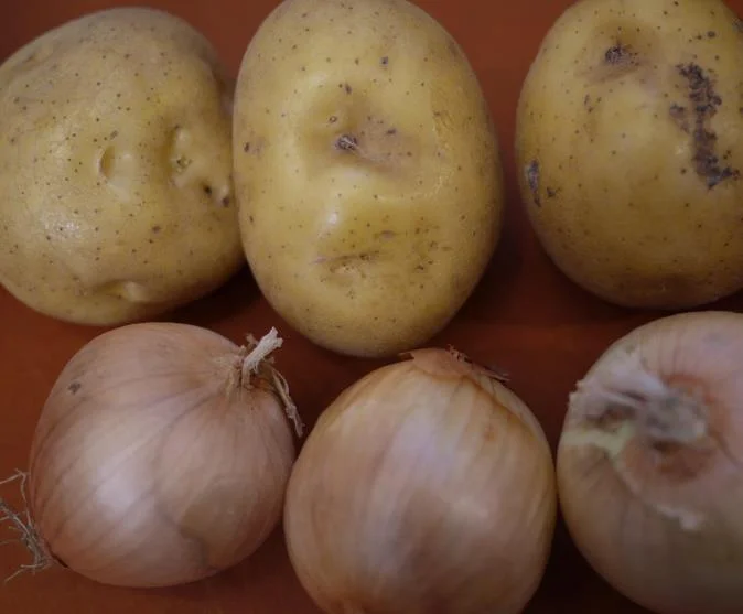 انخفاض أسعار المنتجات الزراعية في مصر