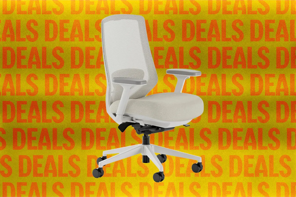 Réductions sur la chaise de bureau Ergonomic Chair Pro