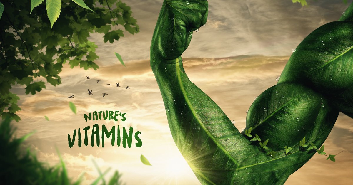 Evergrow Fertilizers annonce une dette de 11,8 milliards