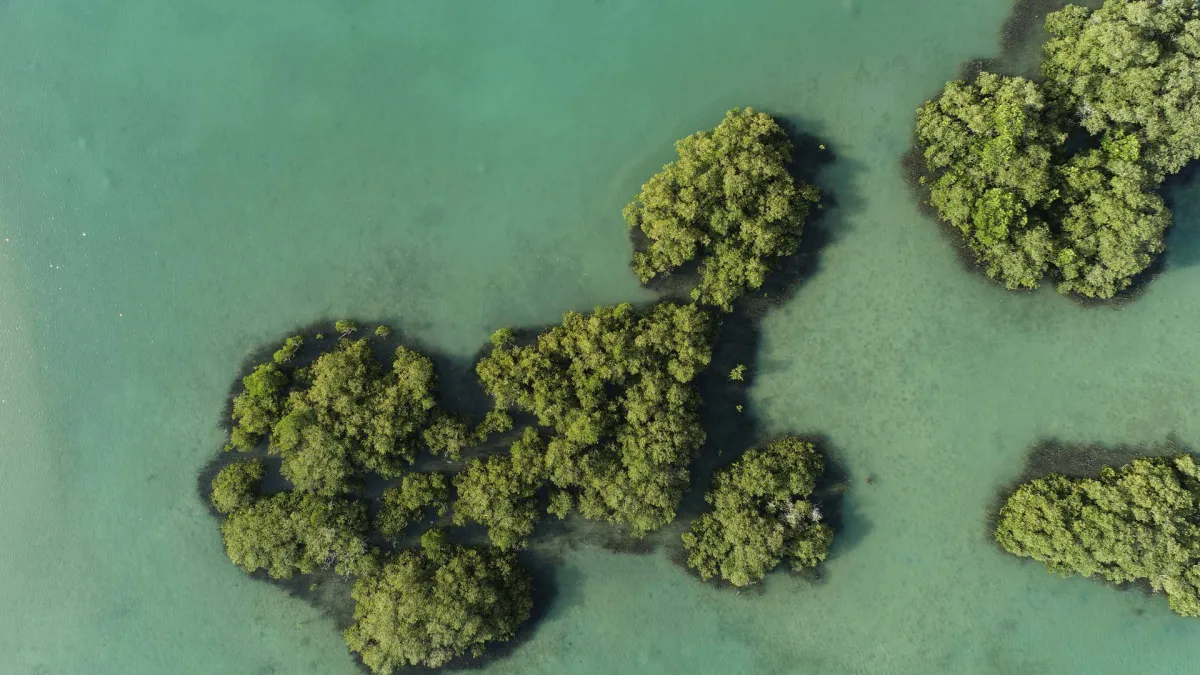 البحر الأحمر الدولية تحصل على شهادة إيرث تشيك للاستدامة