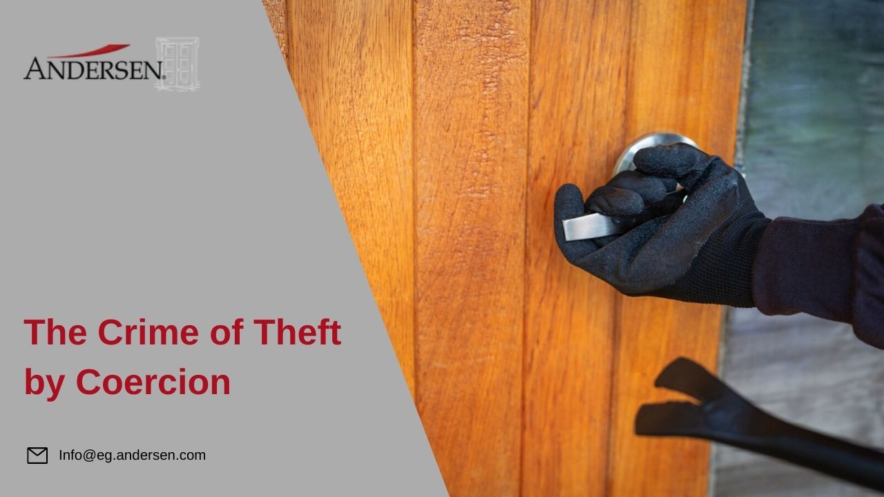 ضبط 23 متهماً في 20 جريمة سرقة خلال 24 ساعة