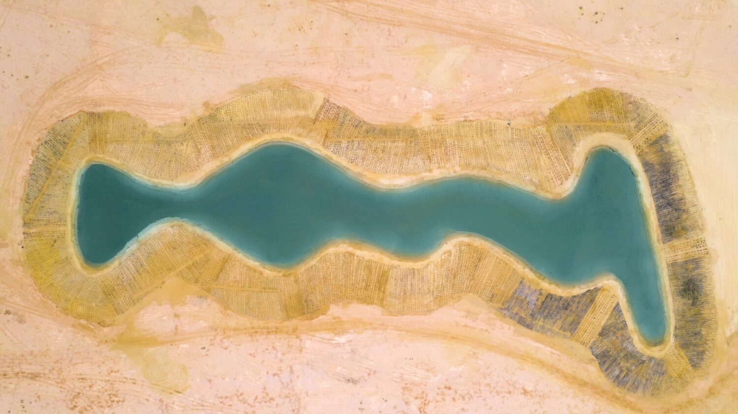 أمير القصيم يزور مركز الجريش لإنتاج الحبارى