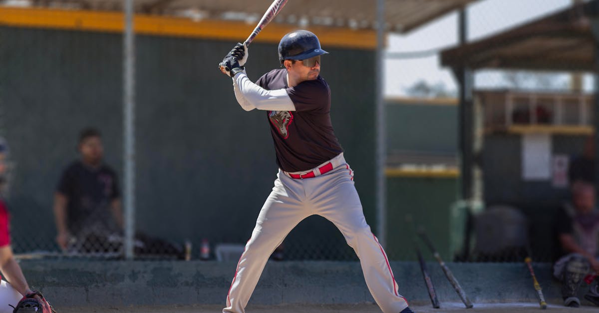 إطلاق سراح خفافيش مُنقذة في أوكرانيا بعد شتاء قاسٍ