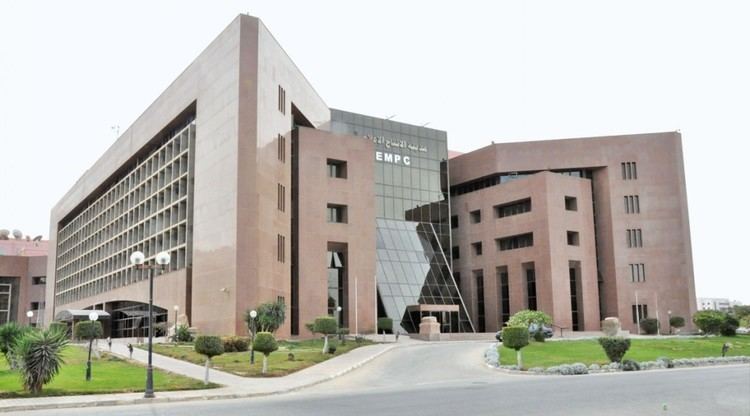 إنتاج 100 مسلسل سنوياً في مصر: رؤية جديدة