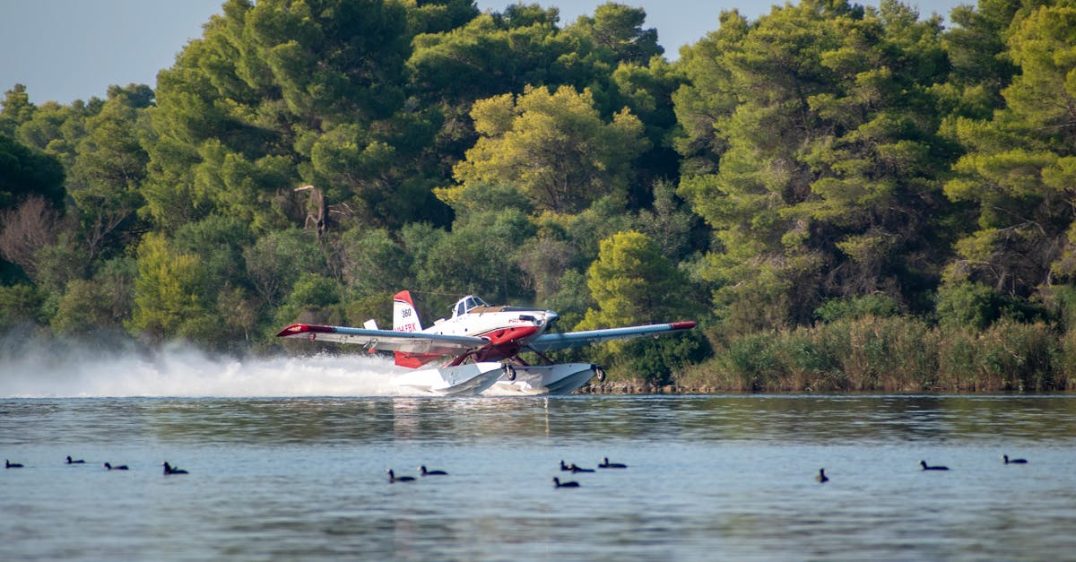 Détails du sauvetage du pilote en Iran