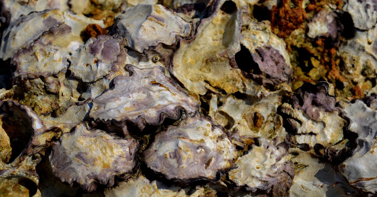 Assurer la fluidité du passage dans le détroit d'Ormuz