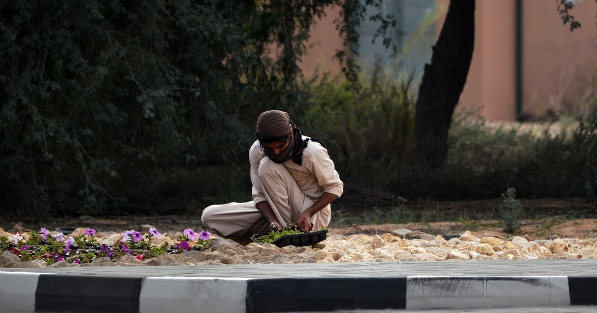 Disburse Salaries for Sharjah Government Employees on April 18