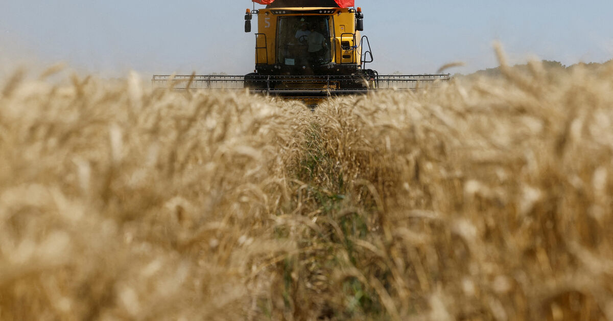 أوكرانيا تطلب مصادرة سفينة حبوب مسروقة من روسيا