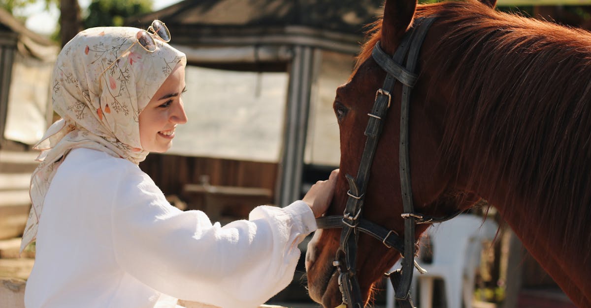 موسوعة الخيل والفروسية 1×2: مرجع شامل