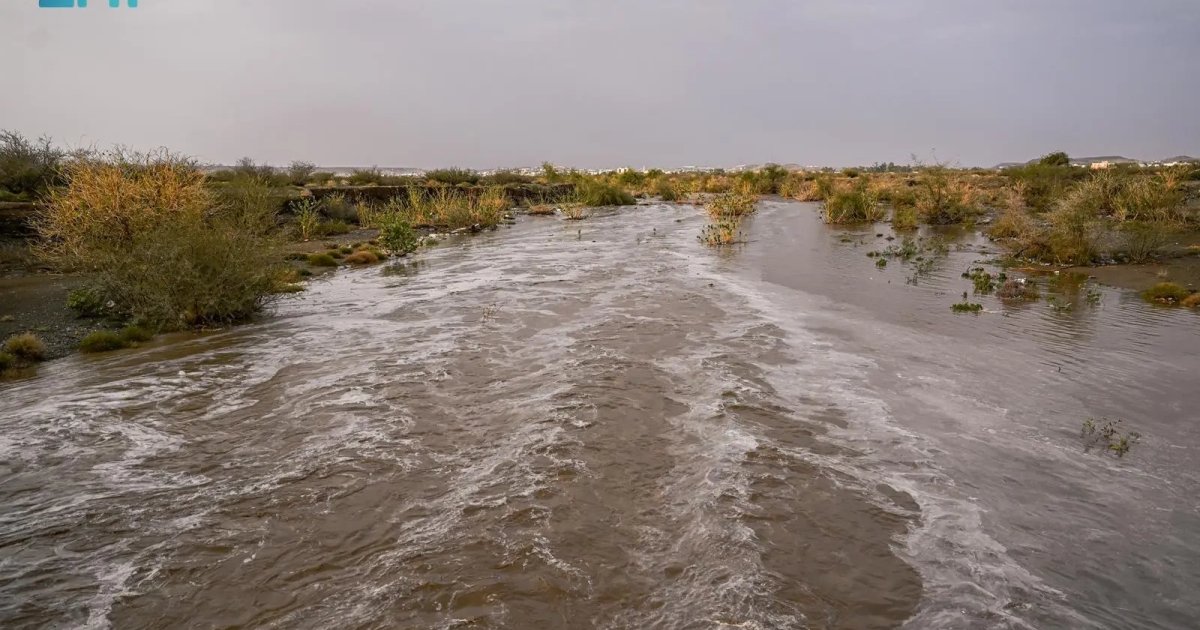 Prévisions météorologiques dans le nord de l'Arabie Saoudite