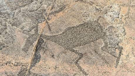 علماء آثار روس يبتكرون نماذج ثلاثية الأبعاد للرسوم الصخرية