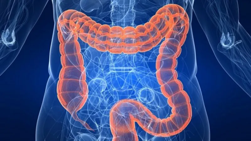 طرق منزلية لتنظيف القولون وتعزيز الهضم