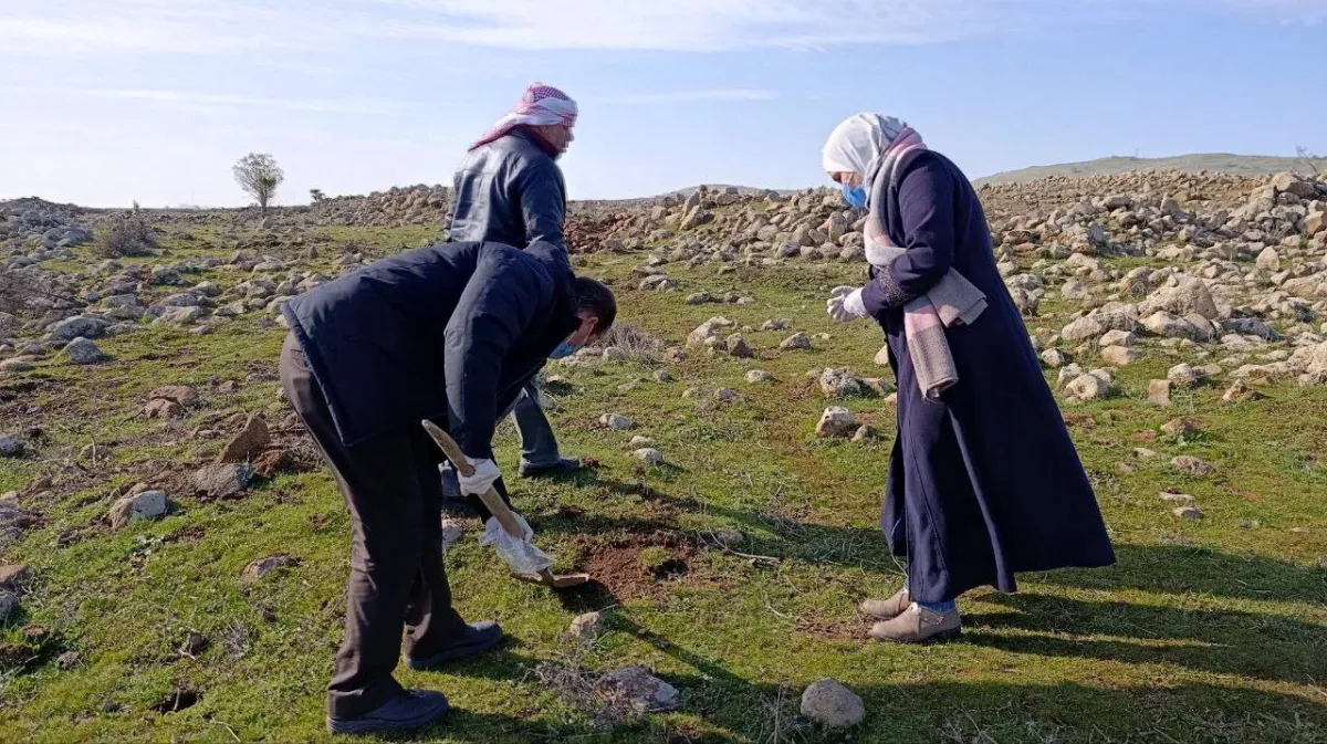 Violations israéliennes menaçant l'agriculture en Syrie