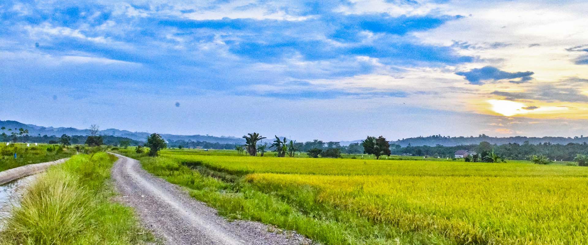 Einschränkungen für Smartphones an indonesischen Schulen