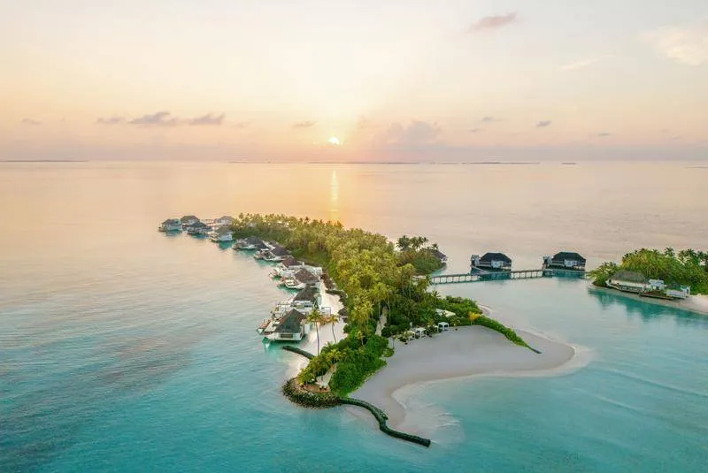 Experience Luxury at Hotels with Poolside Rooms