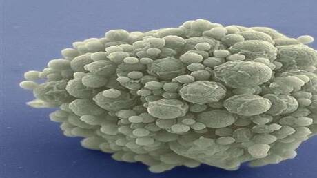 Fasahar kirkirar kwayoyin cuta ta hanyar canja jini