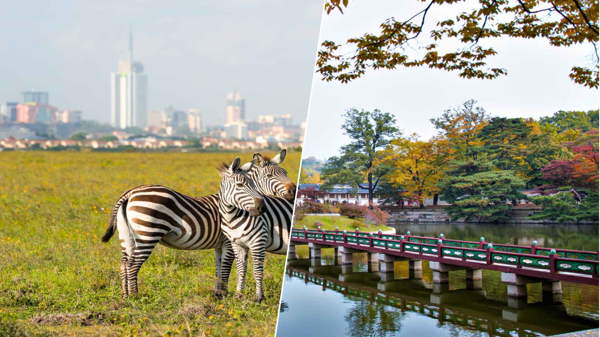 تحليل شامل للأوضاع في سيئول وموسكو ونيروبي