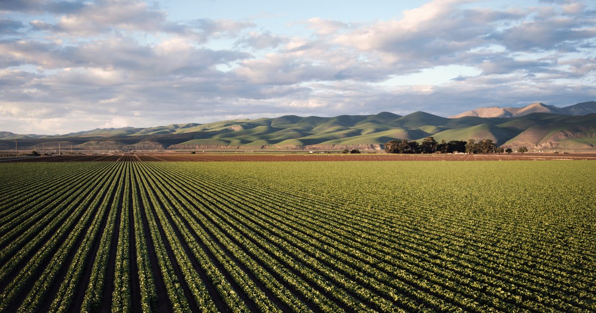 Geography's Impact on Economics: Challenges and Consequences