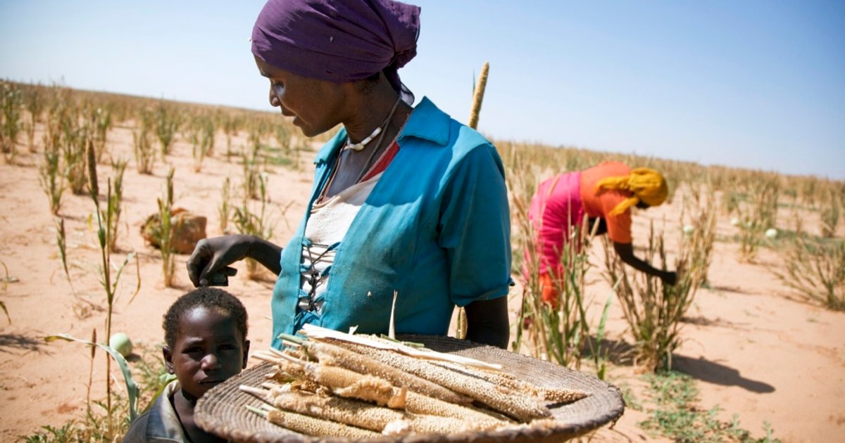 Projet international pour renforcer la coopération en innovation