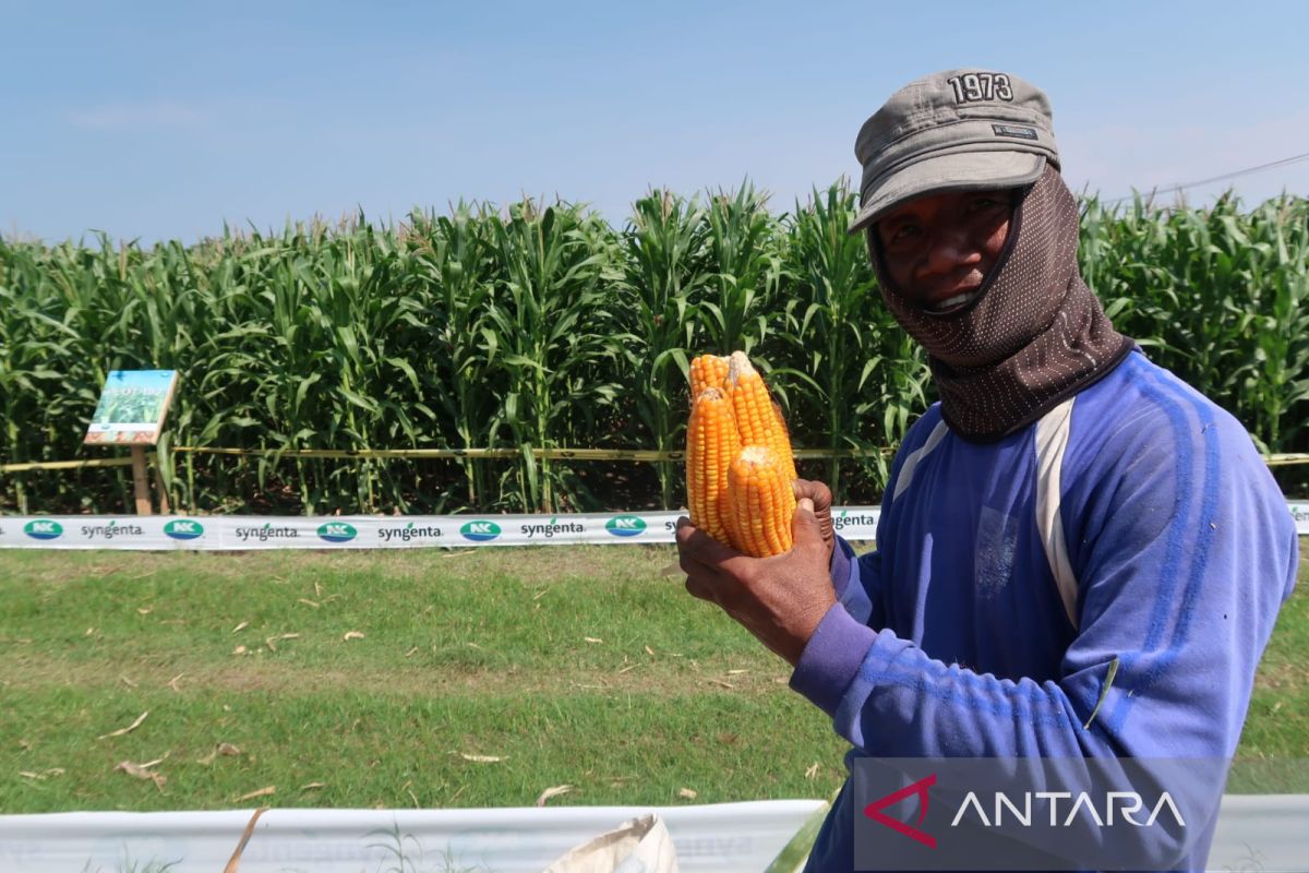 Nommer des professeurs pour renforcer l'innovation en Indonésie