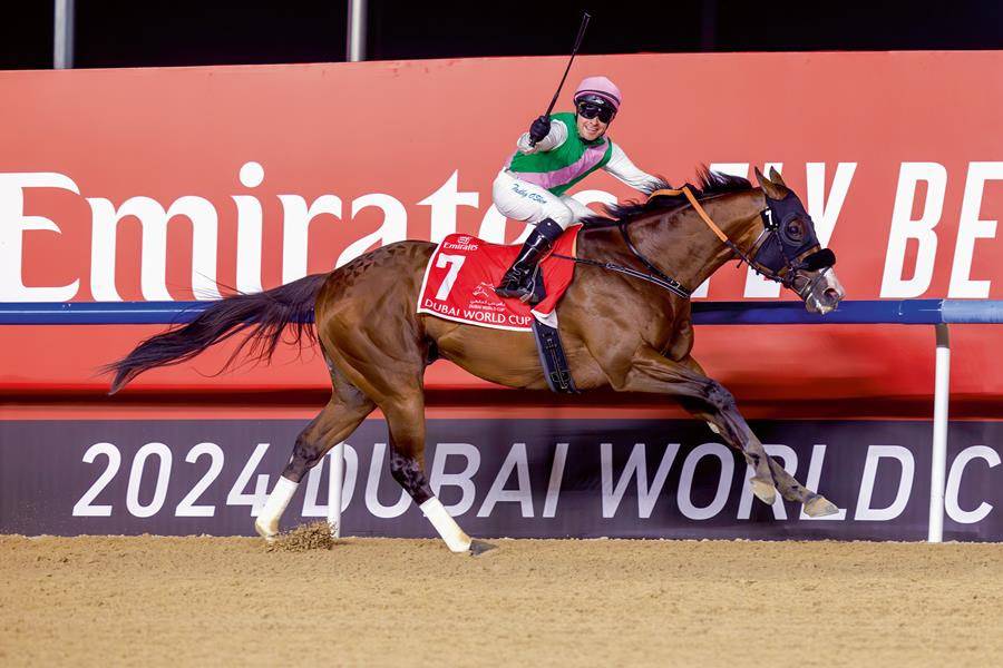 Dubai World Cup: Key Gains for UAE Equestrianism