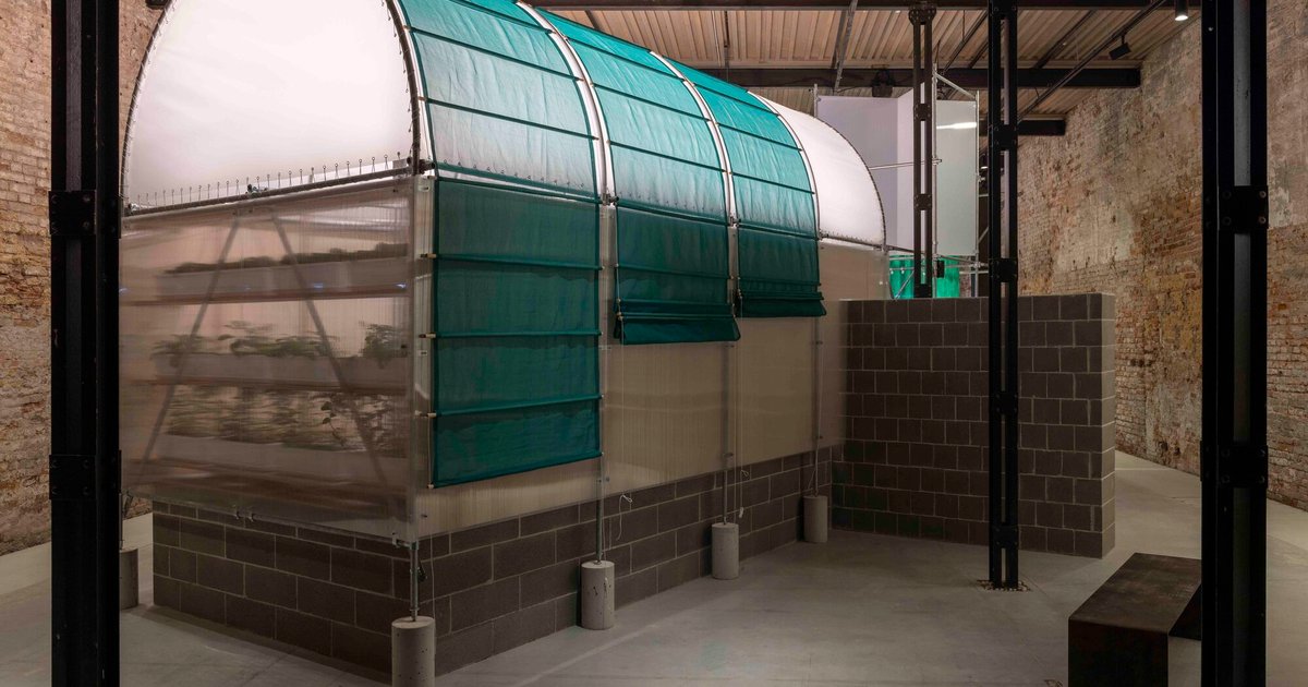 معرض وشوشة في بينالي البندقية 2024