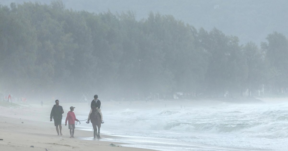 تحذير الأمن العام من المتساقطات