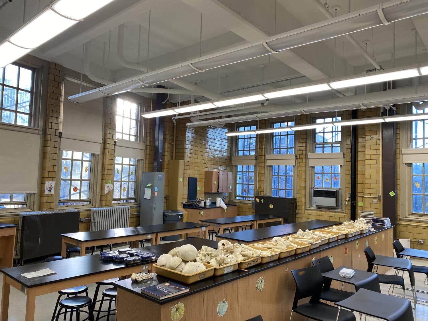 مختبر التشريح: تجربة تعليمية فريدة في كلية الطب