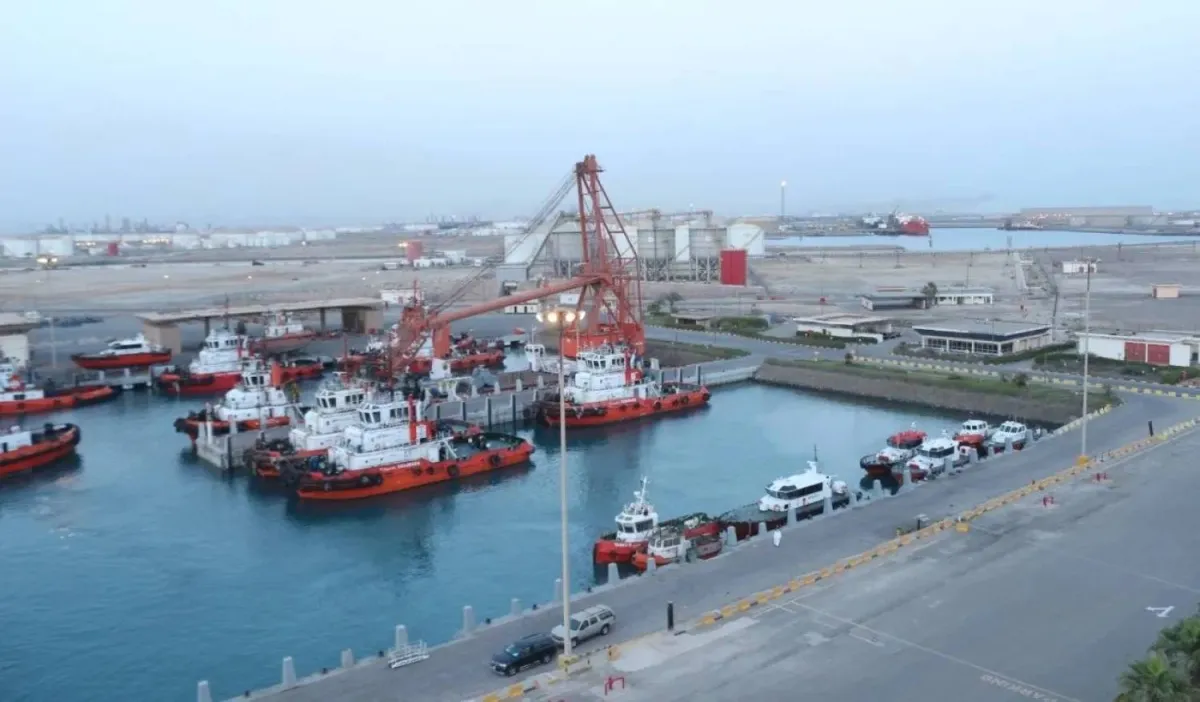 خط أنابيب النفط السعودي "شرق - غرب" يعمل بكامل طاقته