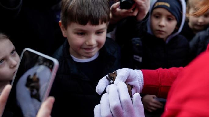 إطلاق الخفافيش في كييف: حدث بيئي مميز