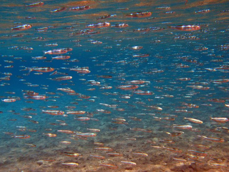 توقيع اتفاق بين العقبة والبحر الأحمر لتعزيز التجارة