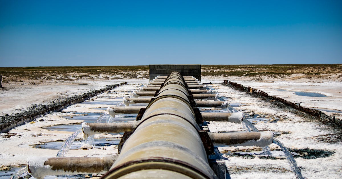 ترامب يهدد إيران ويعبر عن عدم قلقه من جرائم الحرب