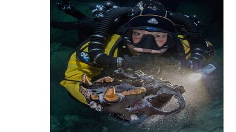 Entdeckung von Mammutknochen aus der Eiszeit in Texas