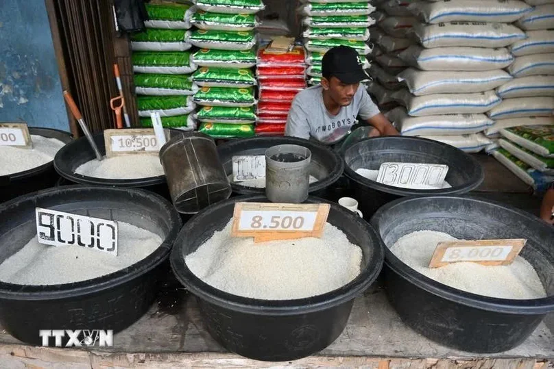 Record Increase in Rice Stock in Indonesia to 761,000 Tons