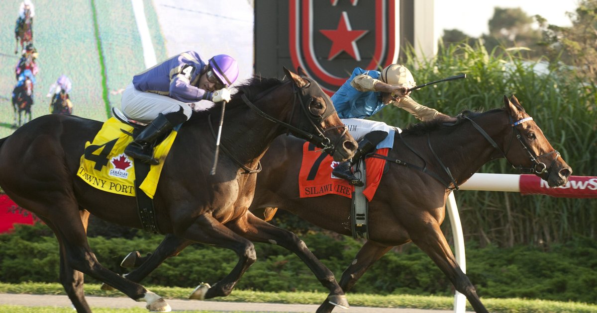 Les déclarations de Hossam Al-Silawi suscitent une controverse