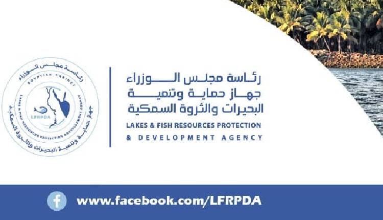 فتح الأسواق الأوروبية للأسماك المصرية: البلطي والجمبري