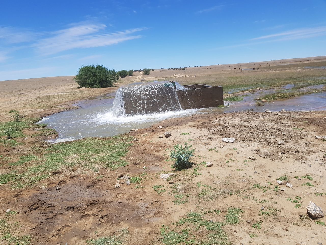 Couper l'eau à Damiette pendant 12 heures pour maintenance